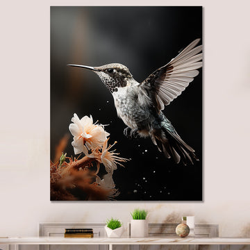 Black White Hummingbird Energetic - Hummingbird Wall Decor